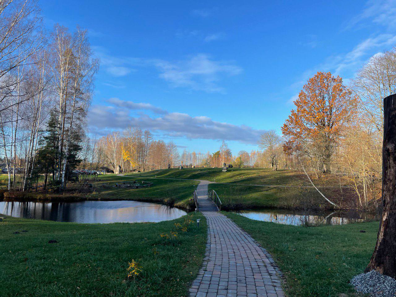 Autumn path and pond at Dragonfly Land