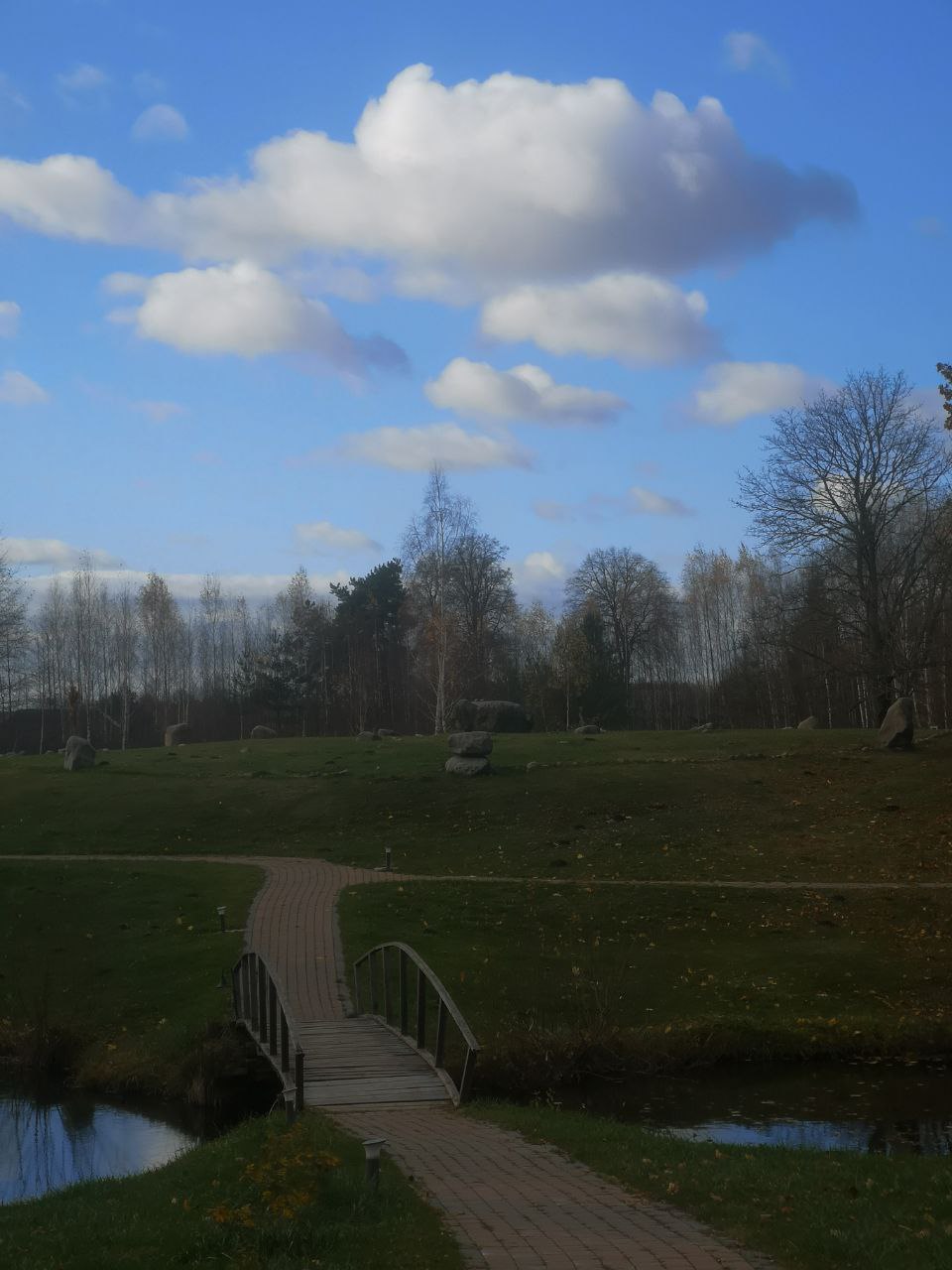 Wooden bridge and meadow at Dragonfly Land